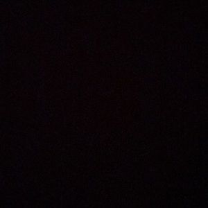 Meet your Posher, Cesar